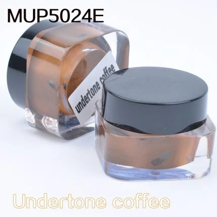 Pigment de microblading de sourcils d'encre de maquillage permanent